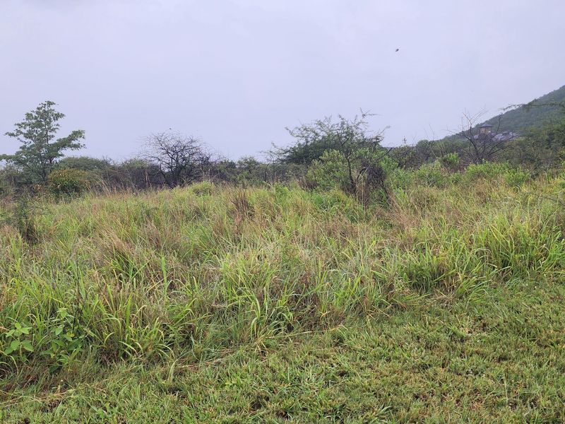 A view of a vacant residential plot featuring natural grass, shrubs, and a sloped landscape under an overcast sky.