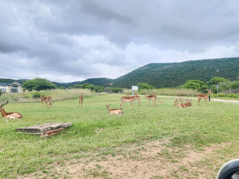A vacant residential plot featuring natural grassland, a concrete utility access point, and surrounding mountain views in a wildlife-friendly estate setting.
