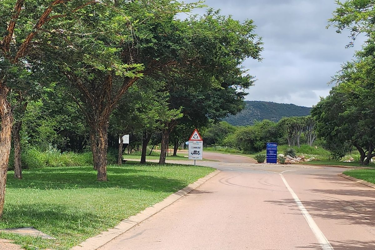 A view of the paved access road and surrounding landscaped greenery within the residential estate.