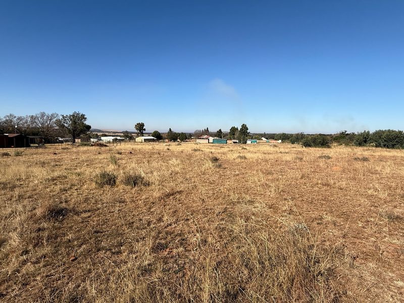 Vacant Land Pending Sale In Walkerville - Photo 4