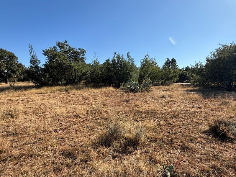 Vacant Land Pending Sale In Walkerville - Photo 3