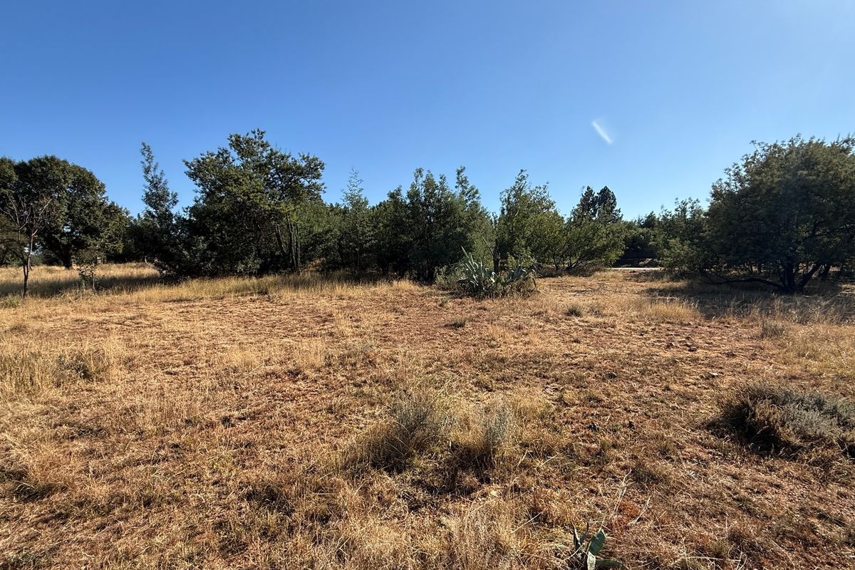 A view of a vacant residential plot featuring natural dry grass and established trees, offering a blank canvas for future development.