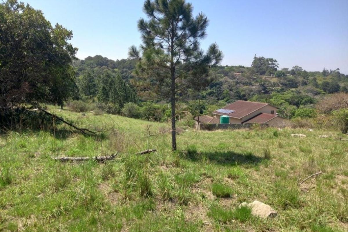 A view of the sloped residential vacant land featuring natural grassland and mature trees, with neighboring properties visible in the distance.