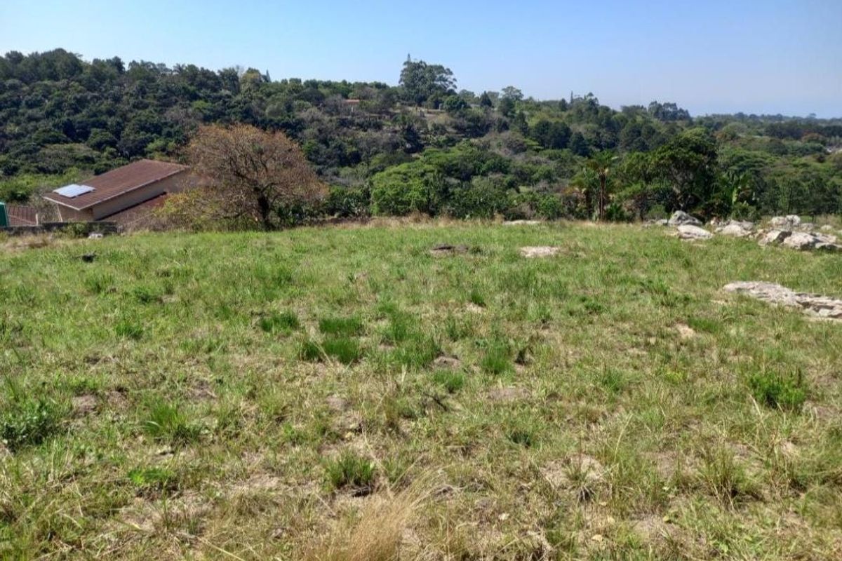 A view of the vacant residential land featuring natural grass, rock outcrops, and a scenic outlook over the surrounding landscape.