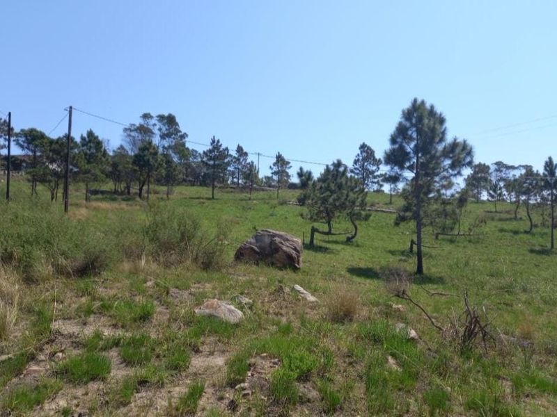 Vacant Land For Sale In Margate - Photo 5