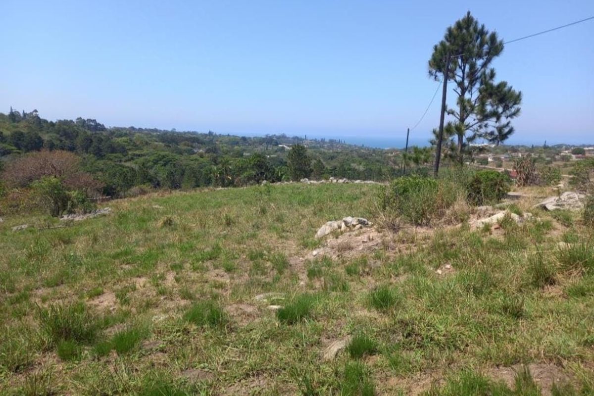 A scenic view overlooking a natural landscape with coastal greenery and distant ocean horizon.