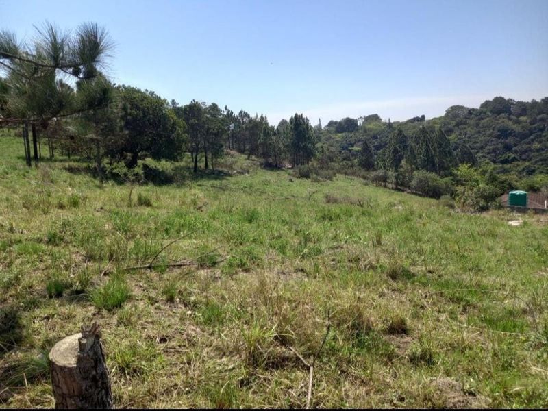 Vacant Land For Sale In Margate - Photo 7