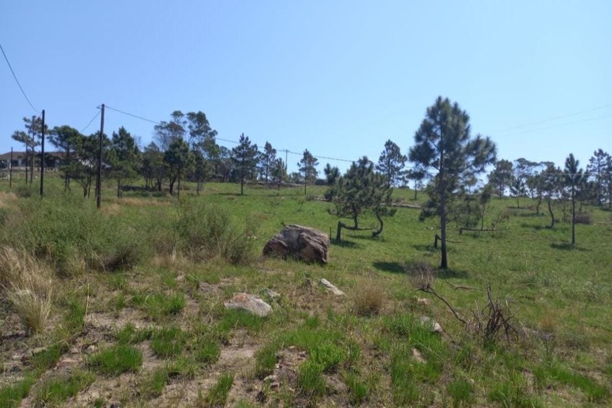 Vacant Land For Sale In Margate - Photo 5