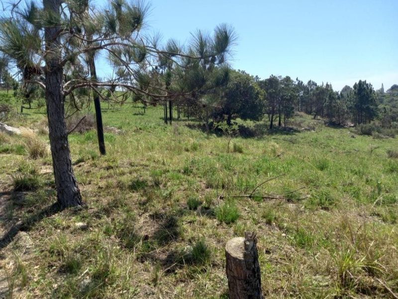 Vacant Land For Sale In Margate - Photo 6