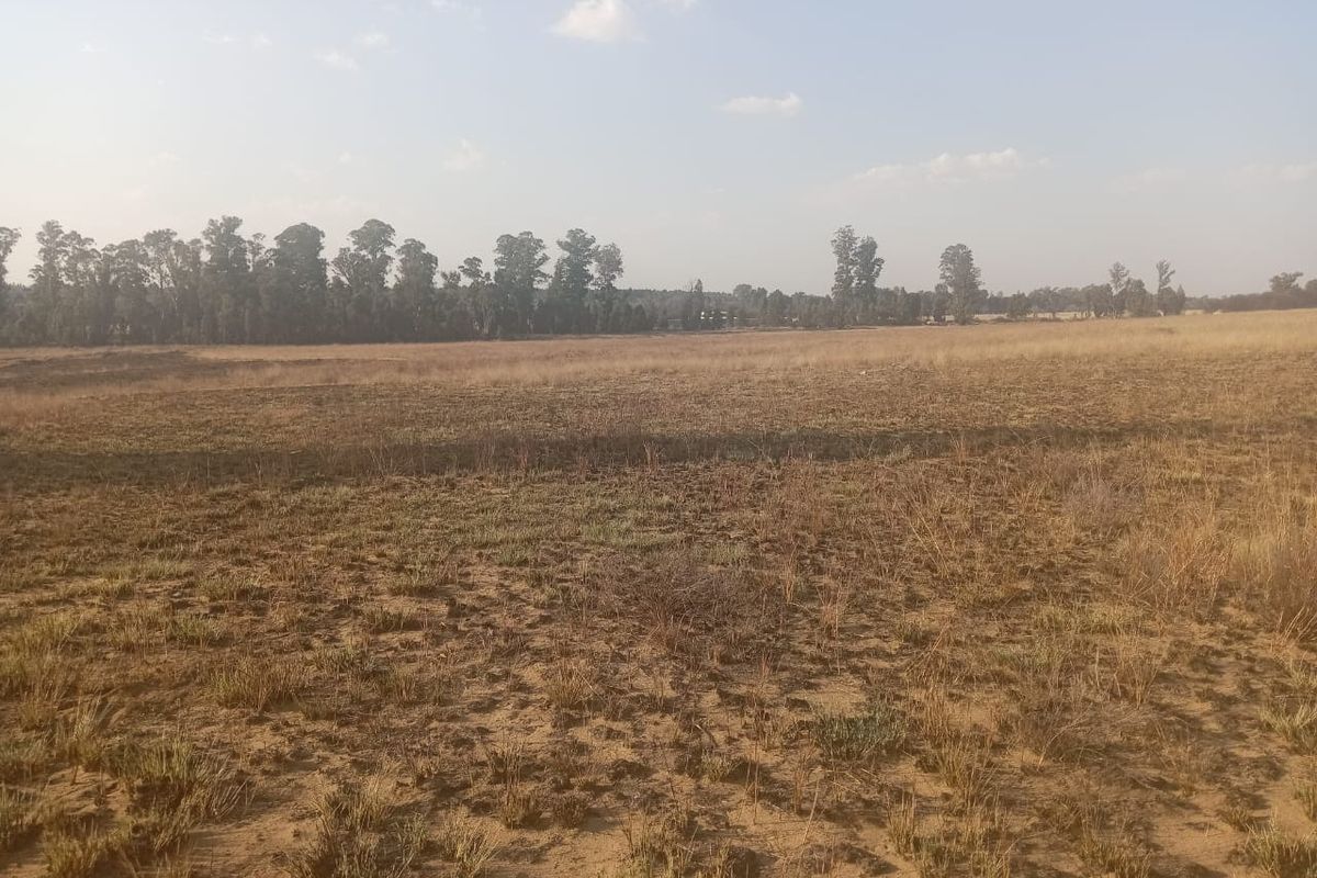 A wide, open expanse of vacant residential land featuring natural dry grass and a distant tree line.