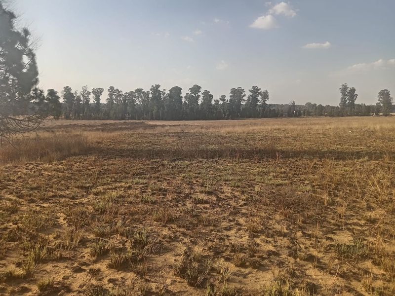 A wide, open expanse of vacant residential land featuring natural grass and a tree line in the distance.