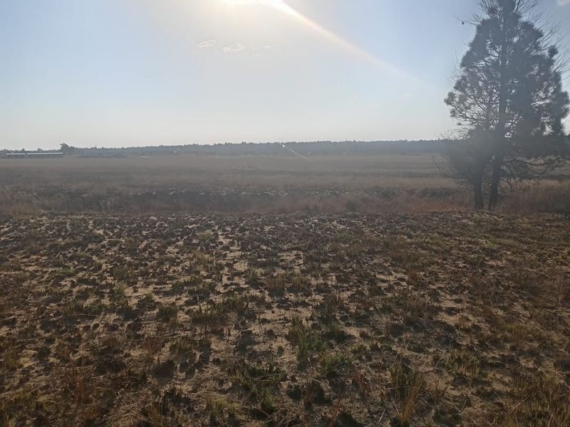 A wide, open view of the vacant residential land, featuring natural terrain and mature trees under a bright sky.