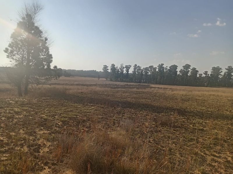 A wide-angle view of a vacant residential plot featuring natural grassland and mature trees, offering a peaceful and expansive landscape.
