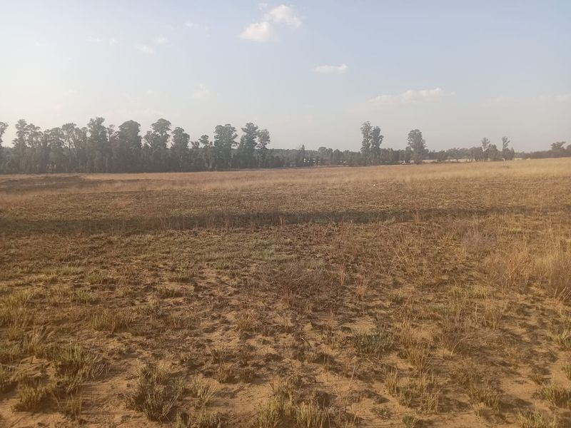 A wide, open expanse of vacant residential land featuring natural dry grass and a distant tree line.