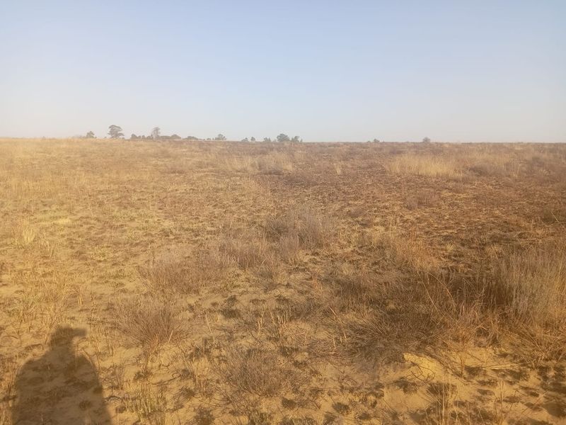 A wide-angle view of a vacant residential plot featuring dry, natural vegetation and open terrain, suitable for future development.