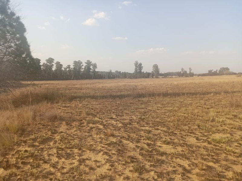 A wide, open expanse of vacant residential land featuring natural dry grass and scattered trees, offering a blank canvas for future development.