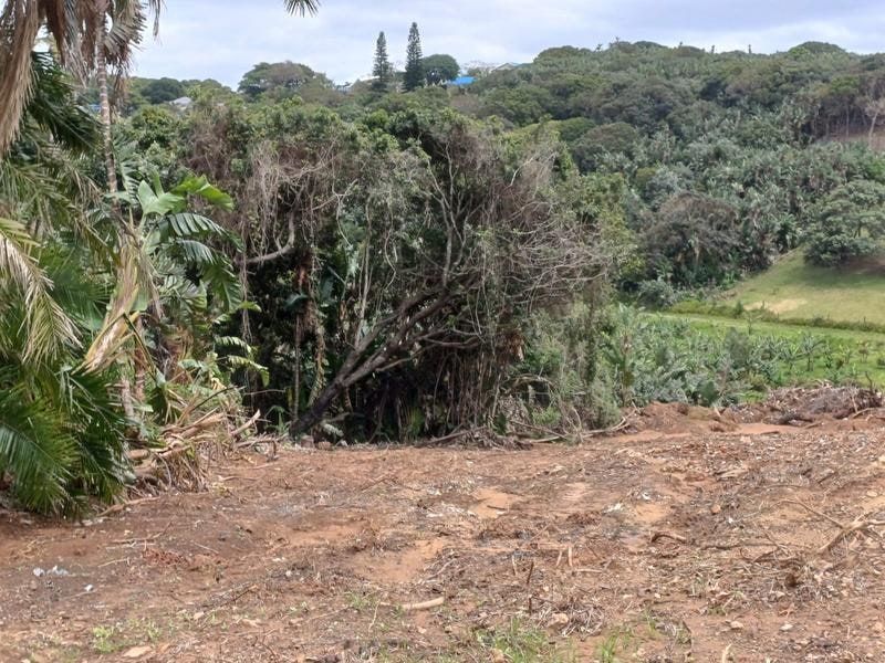 A view of a sloped, partially cleared residential plot featuring dense surrounding vegetation and natural landscape.