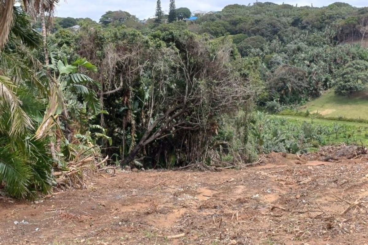 A view of a sloped, partially cleared residential plot featuring dense surrounding vegetation and natural landscape.