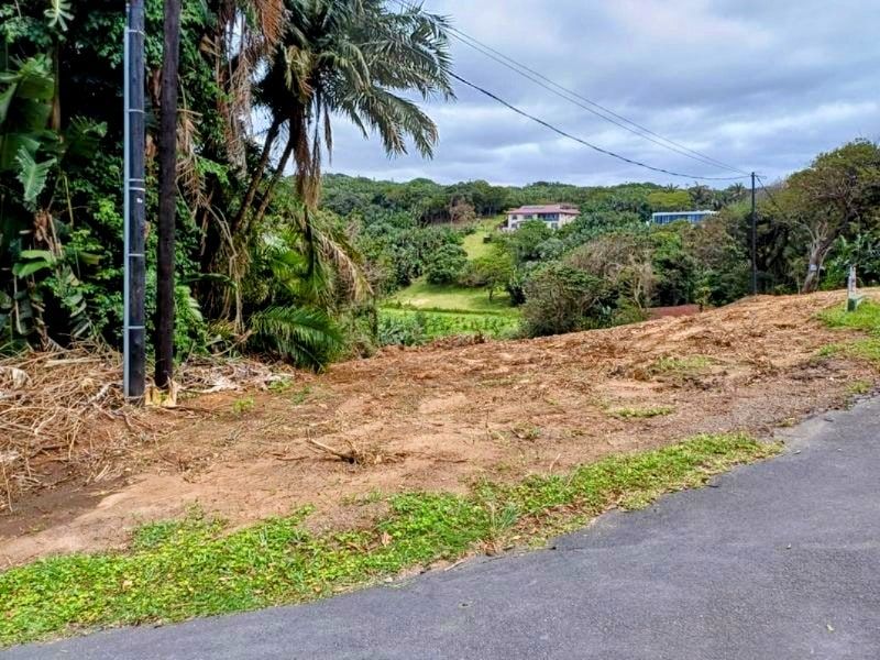 A view of a vacant residential plot from the adjacent asphalt road, featuring natural vegetation and a utility pole.