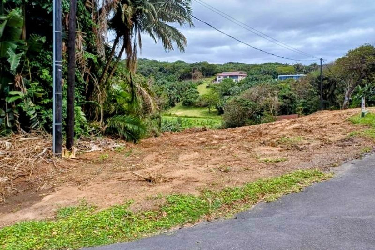 A view of a vacant residential plot from the adjacent asphalt road, featuring natural vegetation and a utility pole.