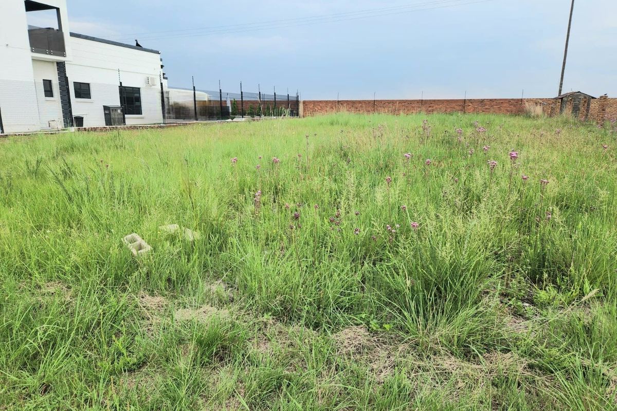 A vacant residential plot featuring overgrown grass, enclosed by a brick boundary wall with installed electric fencing.