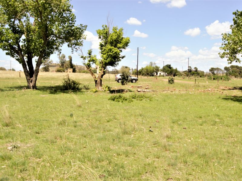 A wide-angle view of a vacant residential plot featuring open grassy terrain, mature trees, and perimeter fencing.
