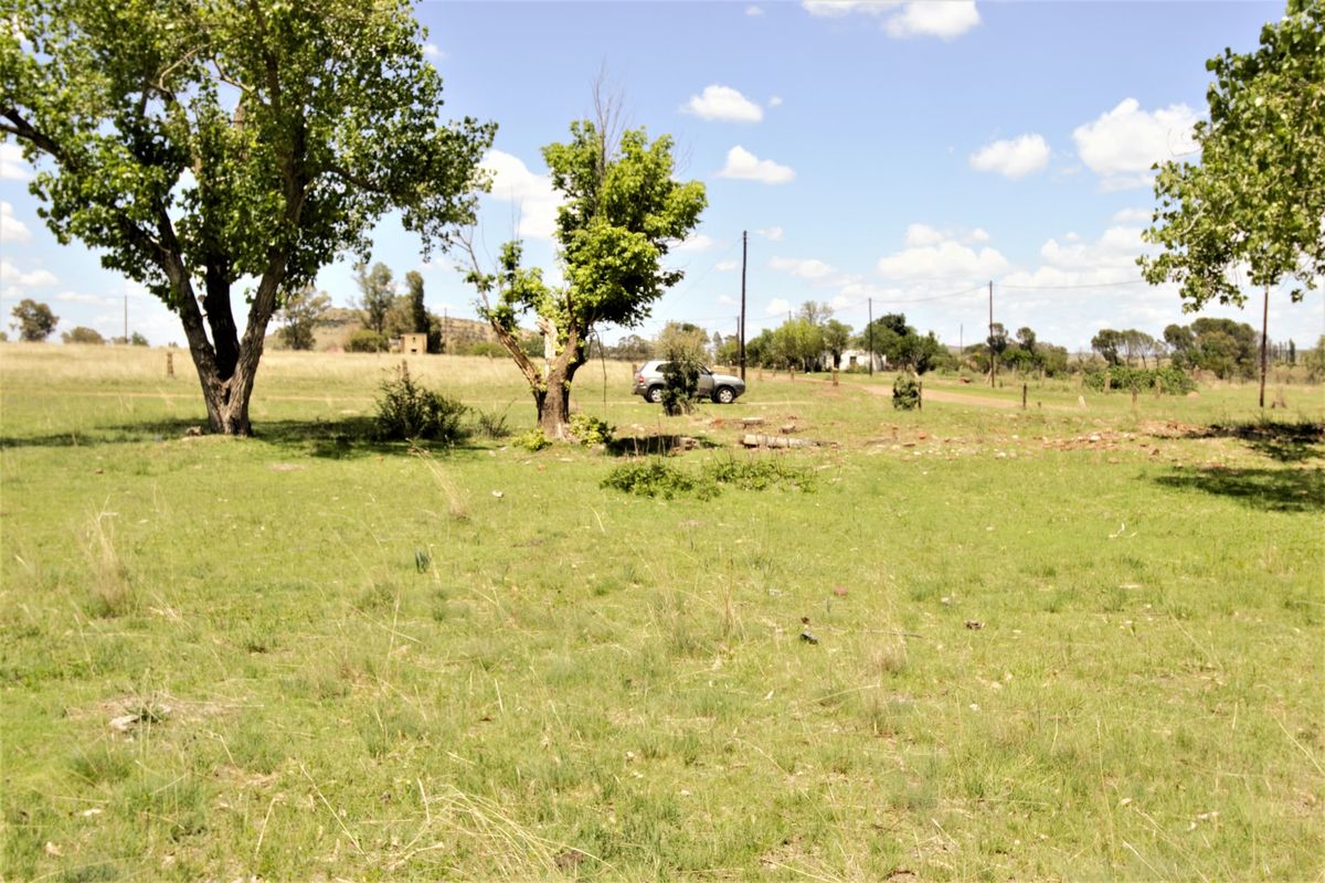 A wide-angle view of a vacant residential plot featuring open grassy terrain, mature trees, and perimeter fencing.