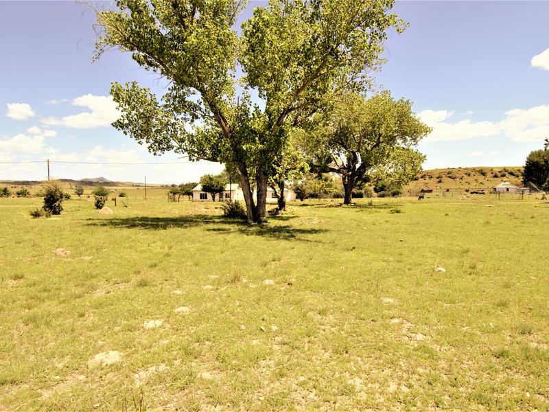 A wide, open residential plot featuring established mature trees and natural grass coverage, offering a spacious outdoor setting.