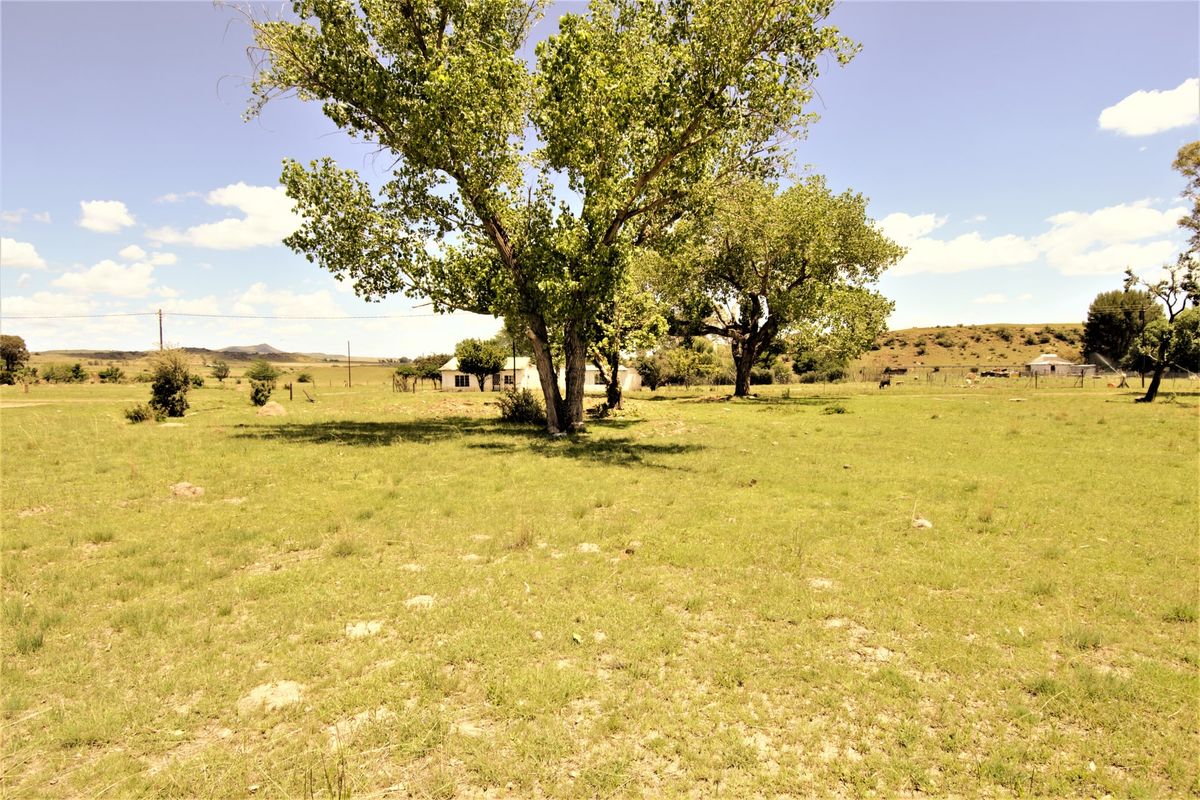 A wide, open residential plot featuring established mature trees and natural grass coverage, offering a spacious outdoor setting.