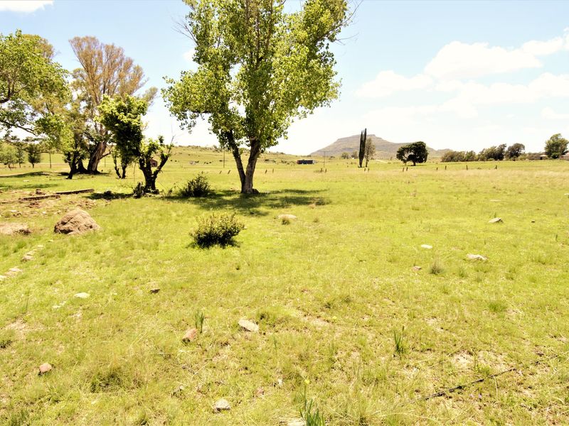 A wide, open residential land plot featuring established trees, natural grass, and distant mountain views, offering a peaceful rural setting.