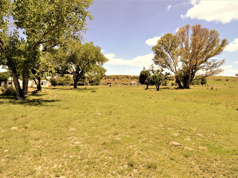 A wide-angle view of a spacious, grassy residential plot featuring mature trees and open landscape, suitable for future development.
