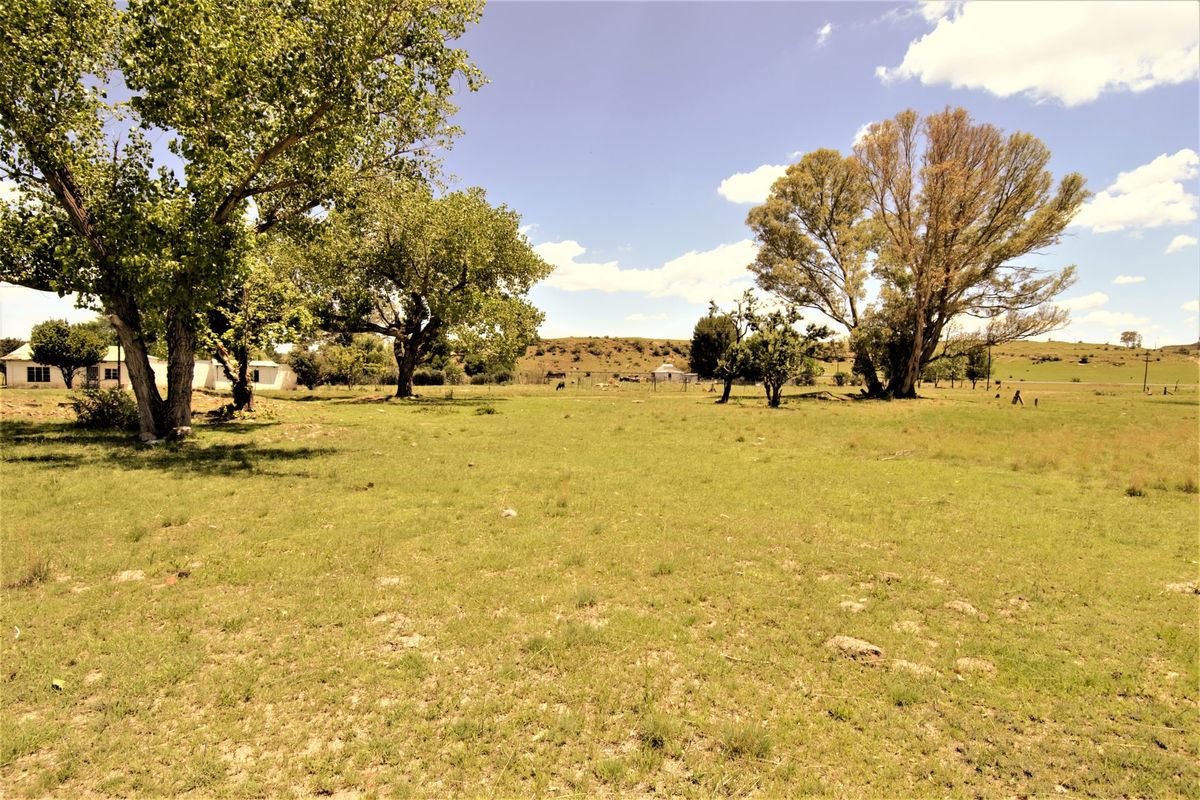 A wide-angle view of a spacious, grassy residential plot featuring mature trees and open landscape, suitable for future development.