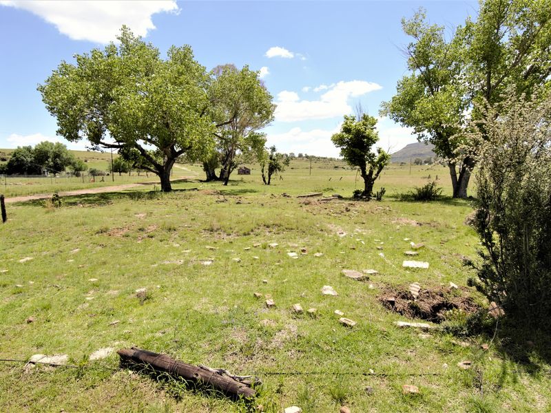 A view of a vacant residential plot featuring mature trees, open grassy areas, and perimeter fencing in a rural setting.