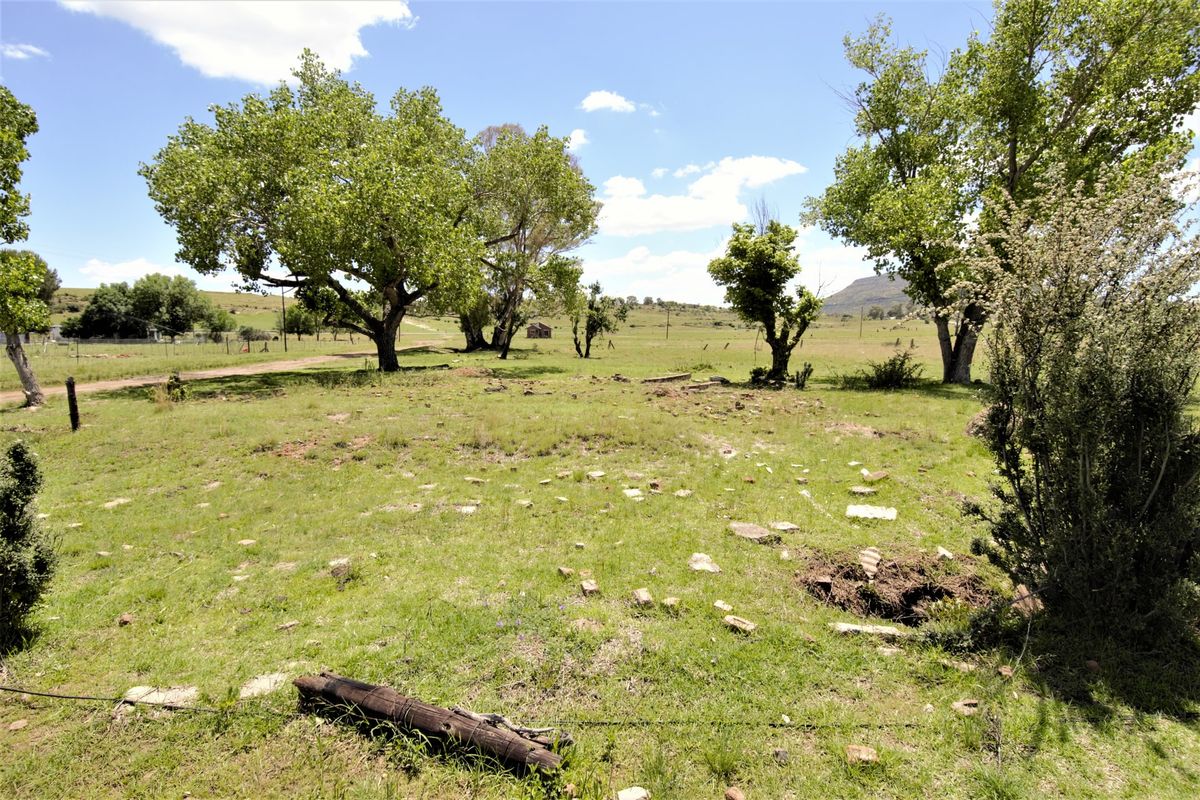 A view of a vacant residential plot featuring mature trees, open grassy areas, and perimeter fencing in a rural setting.