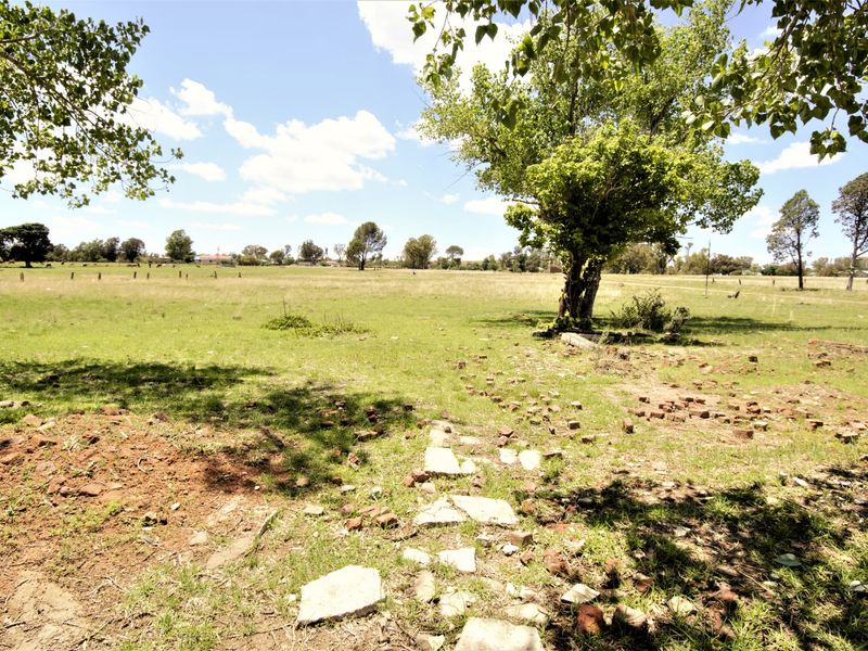 A wide, open residential land plot featuring mature trees and natural grassland, offering significant space for future development or landscaping.