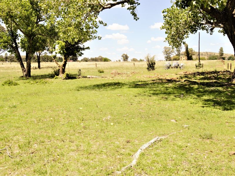 A view of a spacious, grassy residential plot featuring mature trees and perimeter fencing, offering a peaceful and open landscape.