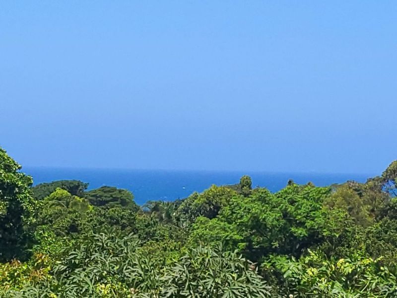 A scenic view overlooking lush green vegetation with a clear blue ocean horizon in the distance.