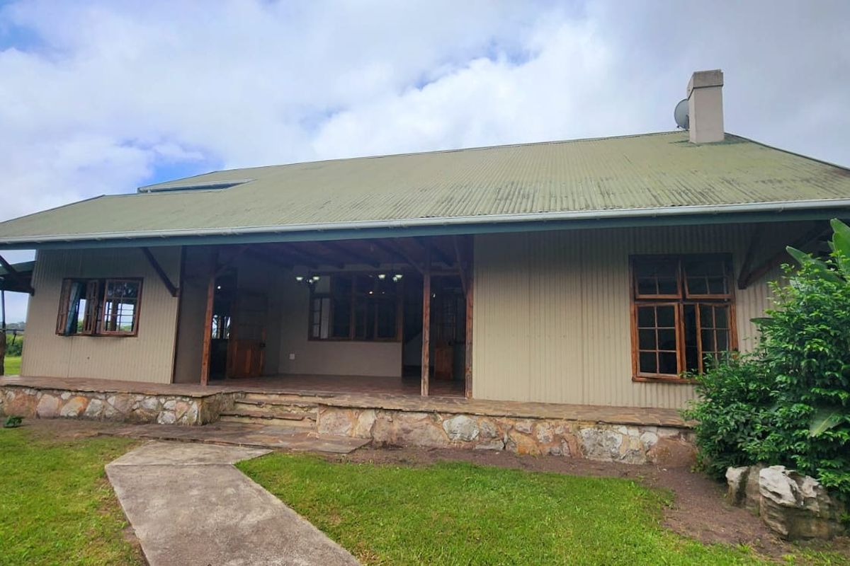 A rear view of a farm-style house featuring a covered patio, stone foundation, corrugated metal roof, and timber-framed windows set in a garden.