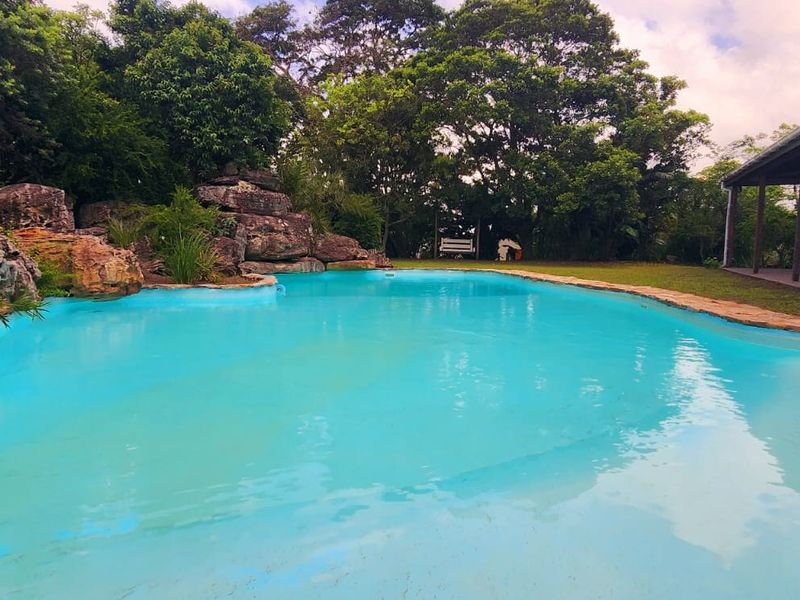 A natural-style swimming pool featuring rock landscaping, set within a lush garden area adjacent to a covered patio.