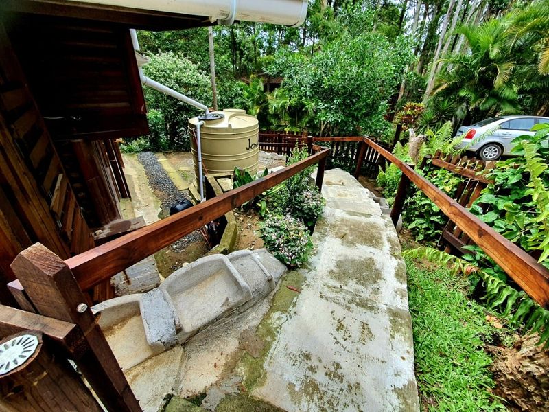 Exterior rear view showing a concrete staircase with timber handrails, leading down through a garden area with a water storage tank.