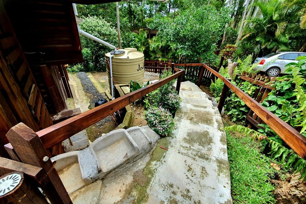 Exterior rear view showing a concrete staircase with timber handrails, leading down through a garden area with a water storage tank.