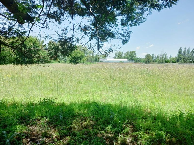 A view of a large, undeveloped residential plot featuring natural grass cover and mature trees, offering a blank canvas for future development.
