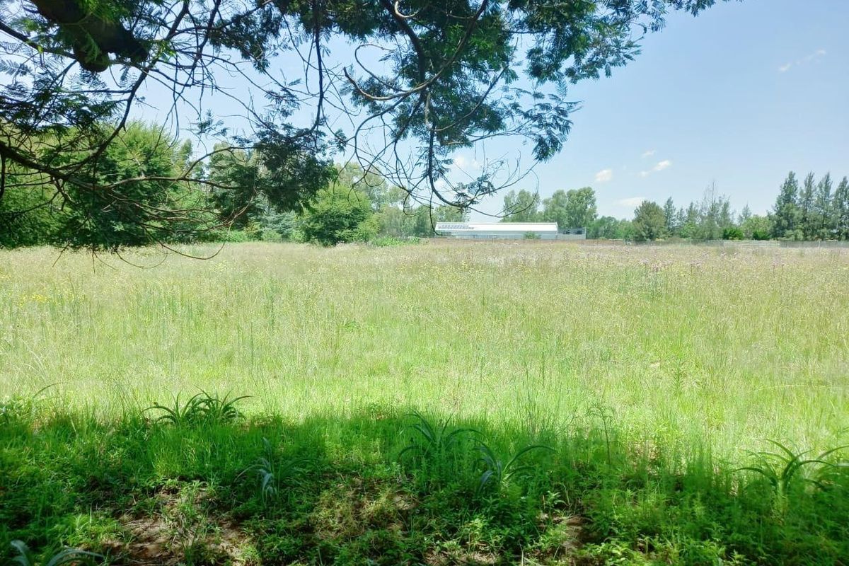 A view of a large, undeveloped residential plot featuring natural grass cover and mature trees, offering a blank canvas for future development.