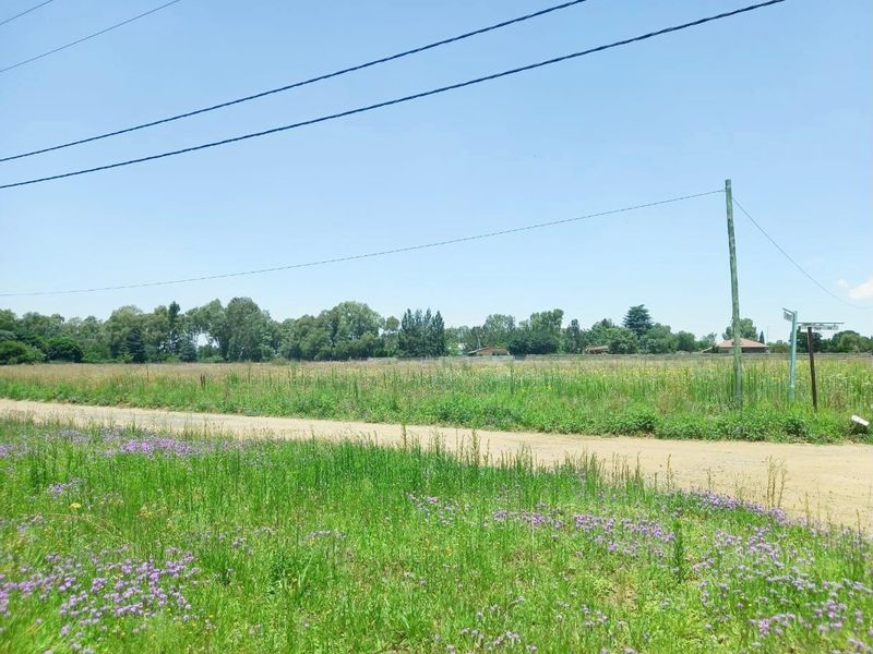 A view of the vacant residential land from the adjacent dirt road, featuring natural vegetation, utility infrastructure, and clear street access.