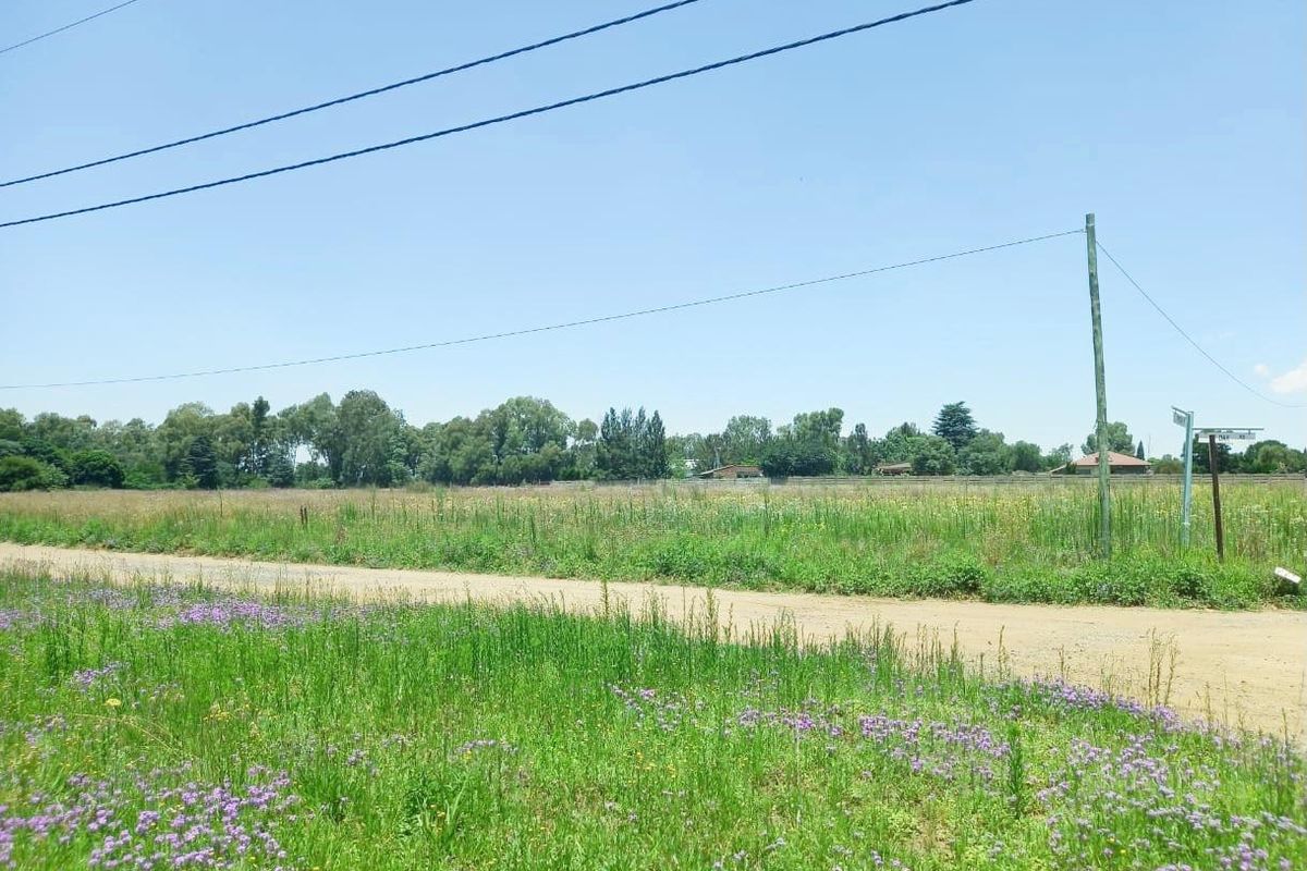 A view of the vacant residential land from the adjacent dirt road, featuring natural vegetation, utility infrastructure, and clear street access.