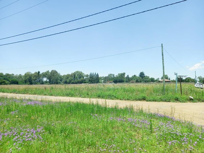 A view of the vacant residential land from the adjacent dirt road, featuring natural vegetation and existing utility infrastructure.