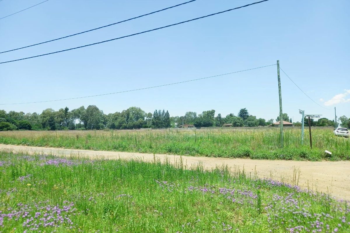 A view of the vacant residential land from the adjacent dirt road, featuring natural vegetation and existing utility infrastructure.