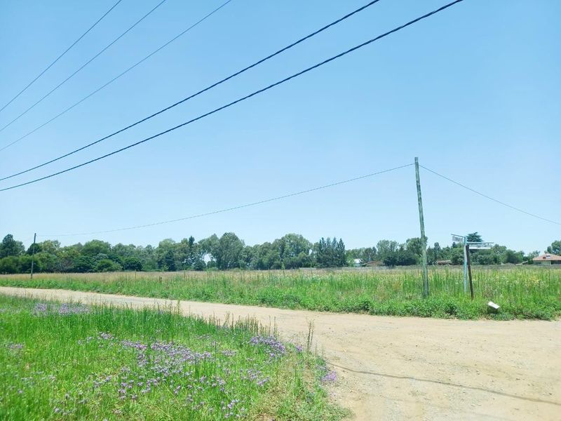 A view of a vacant residential plot featuring a dirt road access, overhead power lines, and natural vegetation.