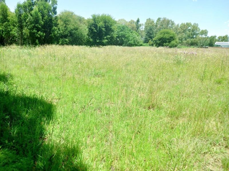 A view of a large, undeveloped residential plot featuring natural grassland and mature trees.