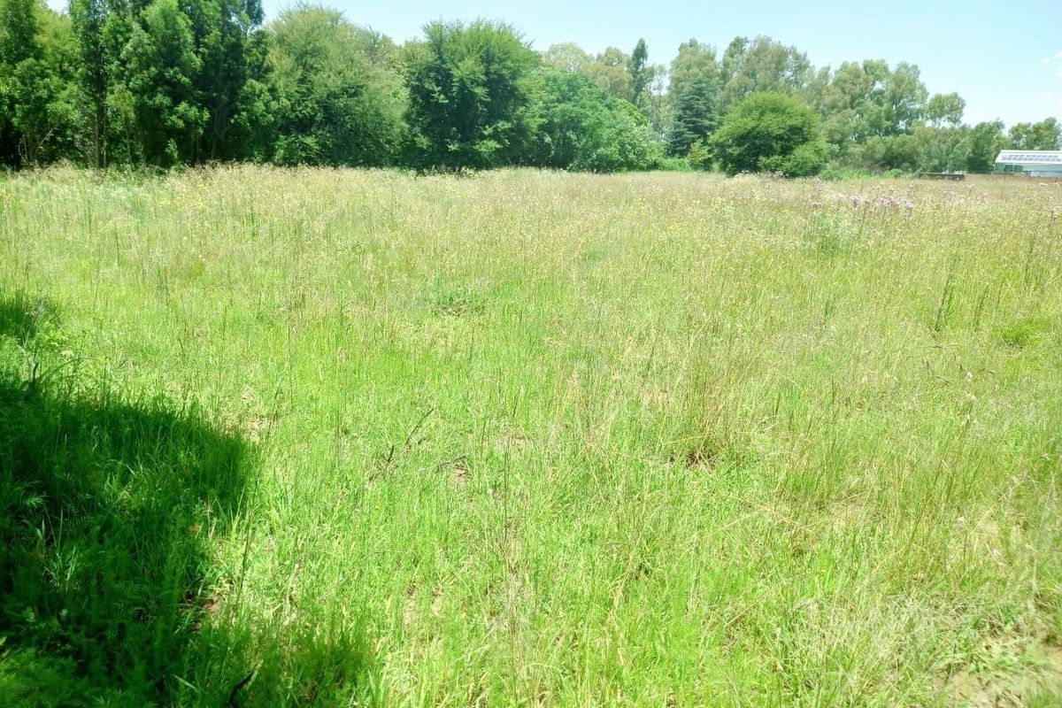 A view of a large, undeveloped residential plot featuring natural grassland and mature trees.
